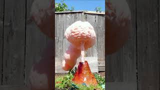 Slow Motion Elephant Toothpaste Experiment For My Sons Science Fair SHORTS [upl. by Urian]