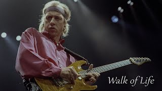 Walk of Life  Dire Straits  cover  quotCoverTimequot [upl. by Verene]