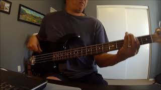 quotYoure The Only Womanquot Ambrosia Bass Cover [upl. by Lledal]