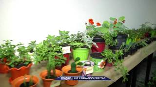 TV UP  UP NOTÍCIAS  Curso de Farmácia promove a exposição de plantas medicinais 06112014 [upl. by Venezia278]