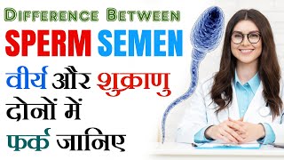 Difference Between Sperm and Semen in Hindi  Dr Nadiya Cindy [upl. by Salis]