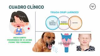 LARINGOTRAQUEITIS CRUP  EPIGLOTITIS ENARM PEDIATRIA [upl. by Dody]