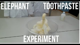 EXPLOSIVE REACTION Elephant toothpaste full steps [upl. by Berner]