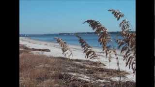 Oak Ridge Daufuskie Island SC January 11 2011 Daufuskie Realty [upl. by Jermaine]