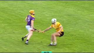 THIS CHAP THINKS HES TADHG FURLONG  ANTRIM V WEXFORD  2024 LEINSTER HURLING CHAMPIONSHIP [upl. by Short76]