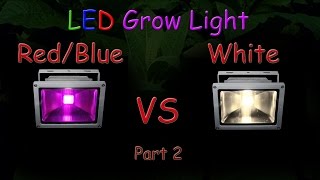 White LED vs RedBlue LED Grow light Grow Test  Part 2 The Grow Results 2016 [upl. by Einyaj]