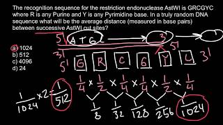 How to calculate the distance between restriction sites [upl. by Lubbi]