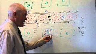 Body fluids 2 Movement between fluid compartments [upl. by Girish]