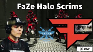 OpTic FormaL Halo Infinite Scrims With FaZe Clan [upl. by Naed461]