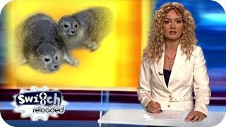 RTL Punkt 12  Süße Robbenbabys im Soester Zoo  Switch Reloaded Classics reupload [upl. by Zedekiah]