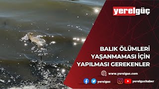 ‘BALIK ÖLÜMLERİ YAŞANMAMASI İÇİN YAPILMASI GEREKENLER’ [upl. by Elleuqar]