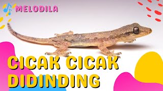 LAGU CICAK CICAK DI DINDING  Lagu Anak Anak [upl. by Orabel]