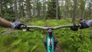 Its worth a visit Correnie Forest Aberdeenshire MTB  Mountain biking Aberdeen [upl. by Atsirc90]