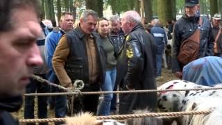 Zuidlaardermarkt 2016 [upl. by Leonore]