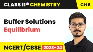 Buffer Solutions  Equilibrium  Class 11 Chemistry Chapter 6  CBSE [upl. by Ramo]