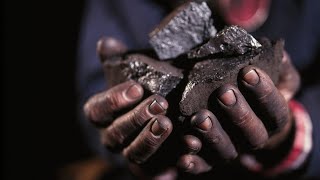 Price of coal has ‘collapsed’ over last 12 months [upl. by Lifton669]