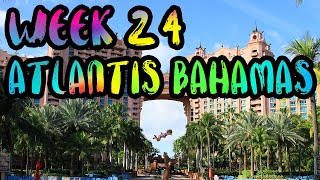 Atlantis Resort Sharks Dolphins and Our New 360 Camera  WEEK 24  Atlantis Bahamas [upl. by Landes781]