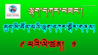 སུད་སི་བོད་པའི་ལྷག་དཀར་སྒོར་གཞས། 9th Swiss Tibetan Lhakar Gorshey Part 1 gorshey tibetan dance [upl. by Dawes435]