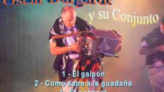 Oscar Burgart y su conjunto  Chamamés Tarragoseros [upl. by Nelad]