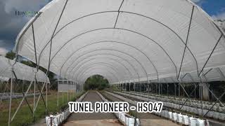 Haygrove Túnel Pioneer HS047 [upl. by Branden]