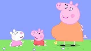 Baby Peppa Pig and Baby Suzy Sheep 🍼  Peppa Pig Official Full Episodes [upl. by Ecinnaj15]