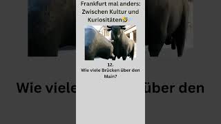 😂 Frankfurt Lachflash 30 Lustige Fragen und Antworten 🌆 [upl. by Yentrok]