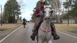 Singlefooting Flea Bitten Gray Tennessee Walking Horse [upl. by Solegna230]