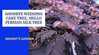 GOODBYE WEDDING CAKE TREE HELLO PERSIAN SILK TREE [upl. by Bunce847]