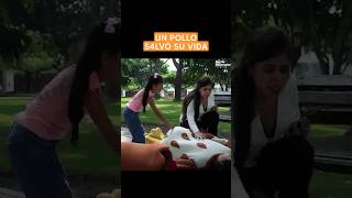 Un pollo s4lvó su vida viral reflexiones lecciondevida [upl. by Akemat242]