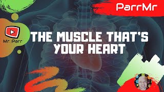 The Muscle Thats Your Heart Song [upl. by Aitrop317]