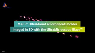 MACS® UltraMount 48 organoids holder imaged in 3D with the UltraMicroscope Blaze™ [upl. by Aciraa]