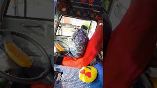 dkfholidays convinsingstar comedy automobile shrts bus travel kollam mevaram [upl. by Azaria]