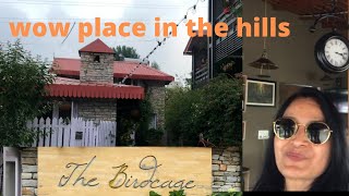 The bird cage cafe visit premium place to stay in Mukteshwer in 2022 sanguinesarika travelvlog [upl. by Robertson]