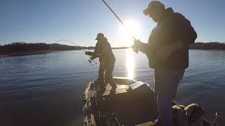 Smallmouth Fishing Norris Lake December 2021 [upl. by Schug]