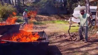 Making biochar with the Oregon Kiln [upl. by Ggerg695]