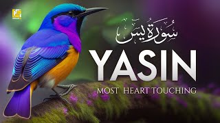 Surah Yasin Yaseen سورة يس  Beautiful voice heart touching  Zikrullah TV [upl. by Seaddon]