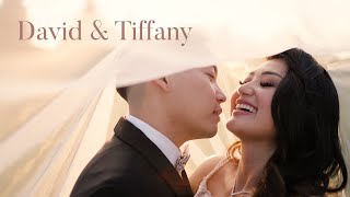 David and Tiffany  Official Wedding Video [upl. by Ecirpak]