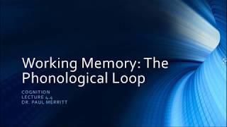 Cognition 4 4 Working Memory The Phonological Loop [upl. by Donoho753]