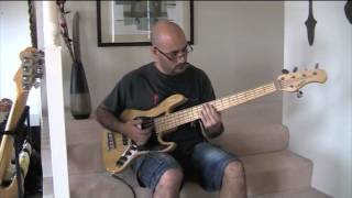 Papa dont preach  Madonna  Bass Cover Sadowsky MV5  Single Coils [upl. by Nooj]