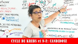 QUEL EST LE RAPPORT DU CYCLE DE KREBS ET LA CANDIDOSE [upl. by Studdard]