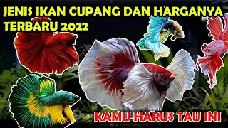 JENIS IKAN CUPANG DAN HARGANYA TERBARU 2022  PECINTA IKAN HIAS WAJIB NONTON [upl. by Olegnaed]