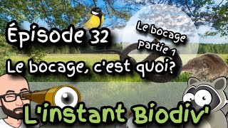 Ep32 le bocage cest quoi   partie 1 [upl. by Eneres]