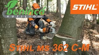 Motosega Stihl MS 362 CM [upl. by Susumu109]