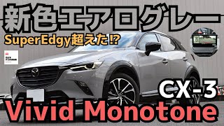 【スーパーエッジー超えた？】CX3ビビッドモノトーン内外装チェック！ [upl. by Natalee295]