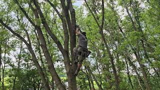 2024 Huntstock practice managing difficult trees make a normal tree a simple climb [upl. by Yarod968]