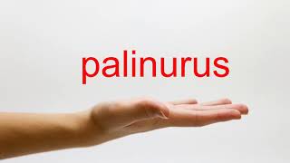 How to Pronounce palinurus  American English [upl. by Larrabee810]