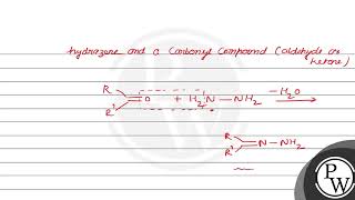 Which of the following compounds is a hydrazone i ii iii iv A i B ii C iii D iv [upl. by Elpmid]