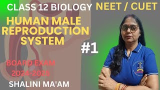 Introduction of Reproduction Class 12th I Reproduction in Organisms class 12 one shot NCERT I NEET [upl. by Sidonius]