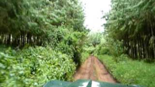 The ride up to Lemosho Gate Mount Kilimanjaro [upl. by Alon957]