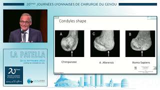 J1Embryogenèse de la fémoropatellaire P Mertl [upl. by Chap]